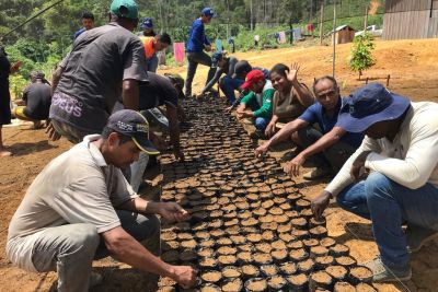 notícia: Ideflor-Bio incentiva criação de viveiros de mudas em municípios da região do Xingu