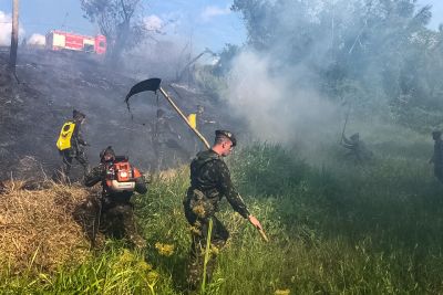 notícia: Bombeiros do Estado treinam militares no combate a incêndios florestais
