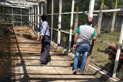 notícia: Emater elabora projeto de compostagem para resíduos da Ceasa