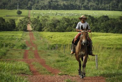 notícia: Pará combate o desmatamento ilegal com mais de mil áreas rurais regularizadas