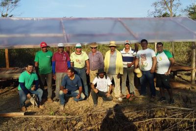 notícia: Comunidades recebem incentivo para produção de cacau