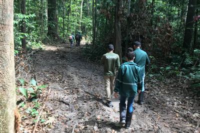 notícia: Semas apreende maquinário usado para explorar madeira em reservas florestais