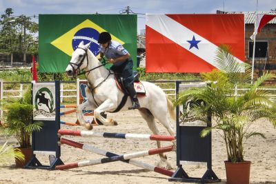 notícia: Semana da PM termina com edição do Concurso Hípico Coronel Fontoura