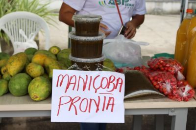 notícia: Produtos típicos do Círio são atração de feira realizada pela Semas