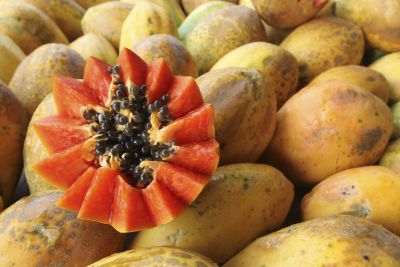 notícia: Hemopa promove feira de produtos rurais para servidores e comunidade