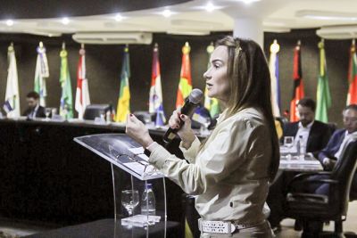 notícia: Encontro debate lei que institui a Declaração de Direitos de Liberdade Econômica