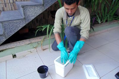 notícia: Sespa inicia projeto inovador de combate ao mosquito da dengue