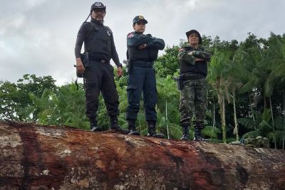 notícia: Segup atua em combate a crimes ambientais e trabalho escravo em Portel