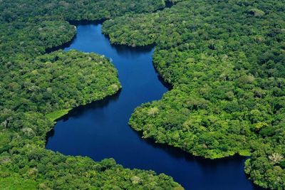 notícia: Palestra sobre DNA da floresta amazônia será destaque na 10ª Fecti