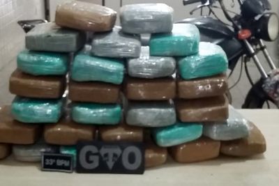notícia: Polícia Militar apreende 28 quilos de maconha em comunidade de Bragança