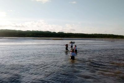 notícia: Estado utiliza tecnologia na busca por óleo em praias de Viseu