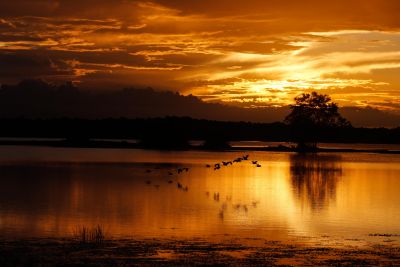 notícia: Natureza exuberante e cultura centenária colocam o Marajó na rota do turismo nacional e internacional