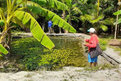 notícia: Agricultores do município de Peixe-Boi são capacitados em recuperação de nascentes