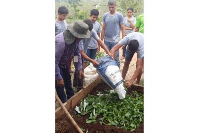 notícia: Projeto Quintal Verde da Emater implanta horta em escolas 