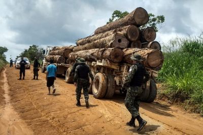 notícia: Pará intensifica combate ao desmatamento na Santarém-Cuiabá