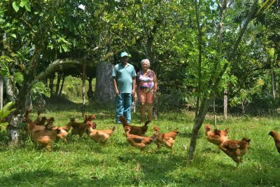 notícia: Emater promove dia de campo em comunidade quilombola