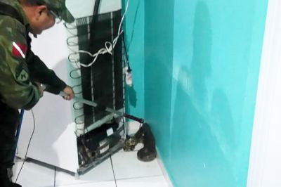 notícia: Batalhão de Polícia Ambiental qualifica educadores e trabalha no resgate de animais silvestres