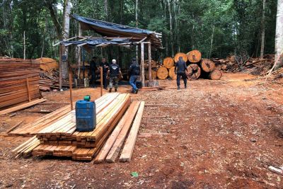 notícia: Operação Caxiuanã coibiu crimes ambientais no arquipélago do Marajó