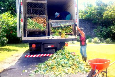 notícia: Ater Pública pode reduzir o desperdício de alimentos no Brasil