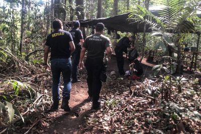notícia: Força-tarefa combate desmatamento ilegal no nordeste paraense