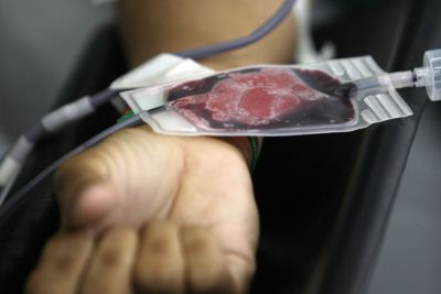 notícia: Serviço de coleta de sangue não funcionará nos dias 24, 25, 31 e 1º 
