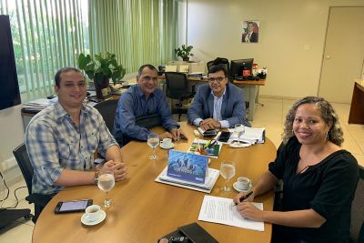 notícia: Empresa que derrubou samaumeira vai plantar 53 árvores no Portal da Amazônia