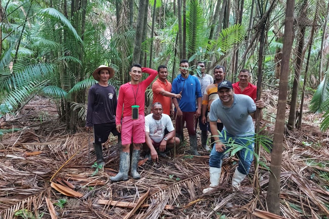 IFT  Moradores das Resex do Marajó participam de oficinas sobre Manejo de  Açaizal