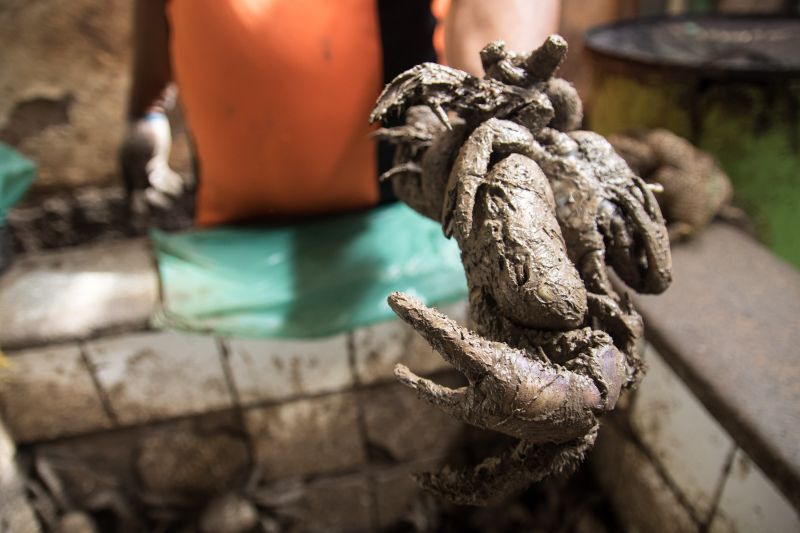  <div class='credito_fotos'>Foto: Pedro Guerreiro / Ag. Pará   |   <a href='/midias/2020/originais/5845_308c49cc-4590-806d-4828-4e92a47f691a.jpg' download><i class='fa-solid fa-download'></i> Download</a></div>