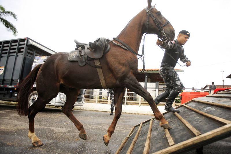  <div class='credito_fotos'>Foto: Bruno Cecim / Ag.Pará   |   <a href='/midias/2020/originais/5868_2c6d77d1-c173-a186-ae64-4dc2dd3646b0.jpg' download><i class='fa-solid fa-download'></i> Download</a></div>