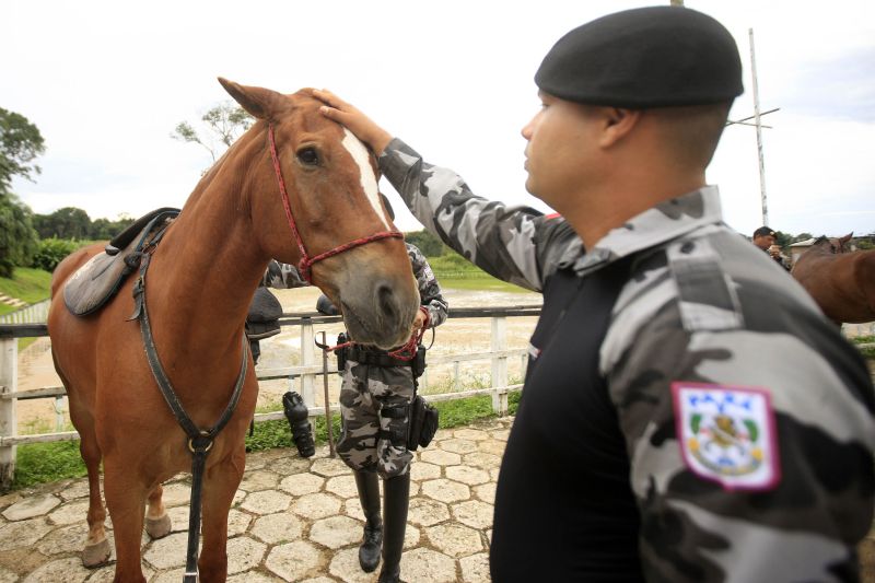  <div class='credito_fotos'>Foto: Bruno Cecim / Ag.Pará   |   <a href='/midias/2020/originais/5868_5fa8fd3b-9d94-f460-e36d-f934c719be6d.jpg' download><i class='fa-solid fa-download'></i> Download</a></div>
