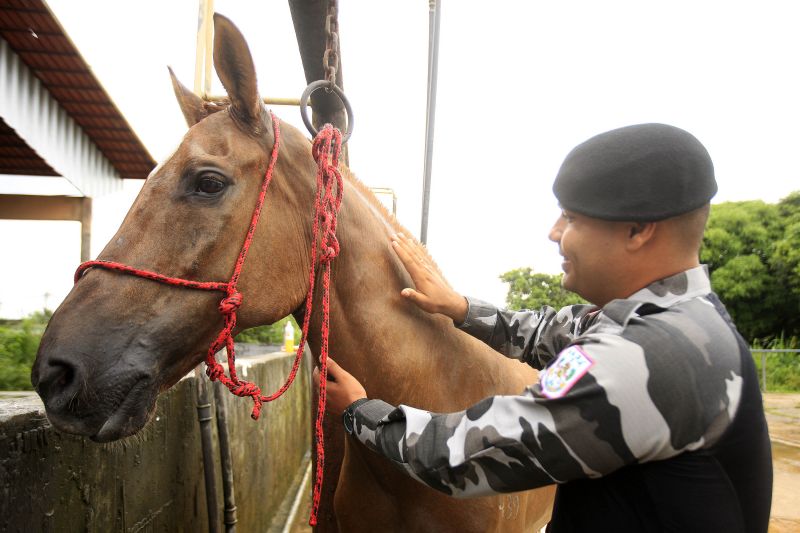  <div class='credito_fotos'>Foto: Bruno Cecim / Ag.Pará   |   <a href='/midias/2020/originais/5868_664d01f4-d2d0-0949-0ed7-63cdc7309ccf.jpg' download><i class='fa-solid fa-download'></i> Download</a></div>