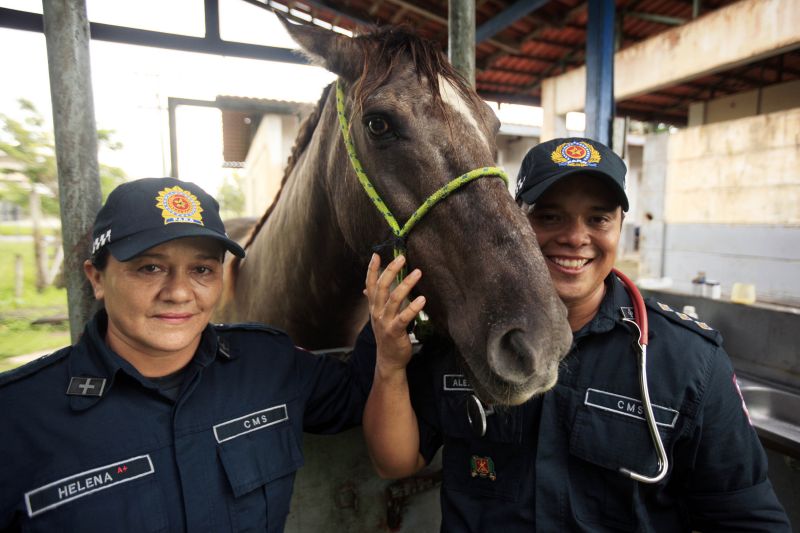  <div class='credito_fotos'>Foto: Bruno Cecim / Ag.Pará   |   <a href='/midias/2020/originais/5868_7530c850-c094-2cec-dbb0-3816f082a8b4.jpg' download><i class='fa-solid fa-download'></i> Download</a></div>