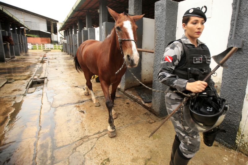  <div class='credito_fotos'>Foto: Bruno Cecim / Ag.Pará   |   <a href='/midias/2020/originais/5868_818fd6b6-56cc-dee8-1bb2-c896a2d3dd23.jpg' download><i class='fa-solid fa-download'></i> Download</a></div>