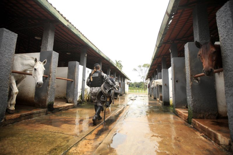  <div class='credito_fotos'>Foto: Bruno Cecim / Ag.Pará   |   <a href='/midias/2020/originais/5868_8953ecb0-21bb-4a9b-d145-a6f007bbb08d.jpg' download><i class='fa-solid fa-download'></i> Download</a></div>