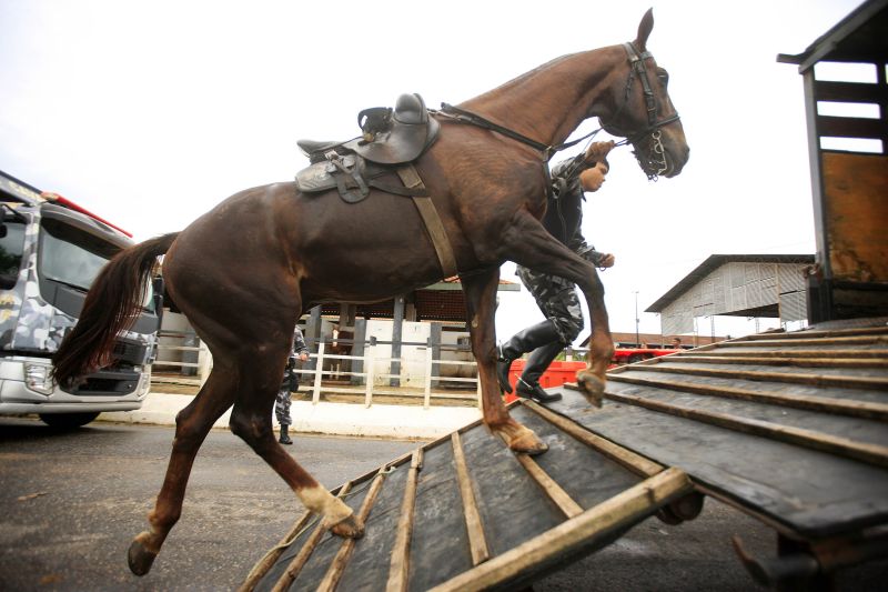  <div class='credito_fotos'>Foto: Bruno Cecim / Ag.Pará   |   <a href='/midias/2020/originais/5868_92cdd492-0cf6-6fc4-9bea-7648f62393ea.jpg' download><i class='fa-solid fa-download'></i> Download</a></div>