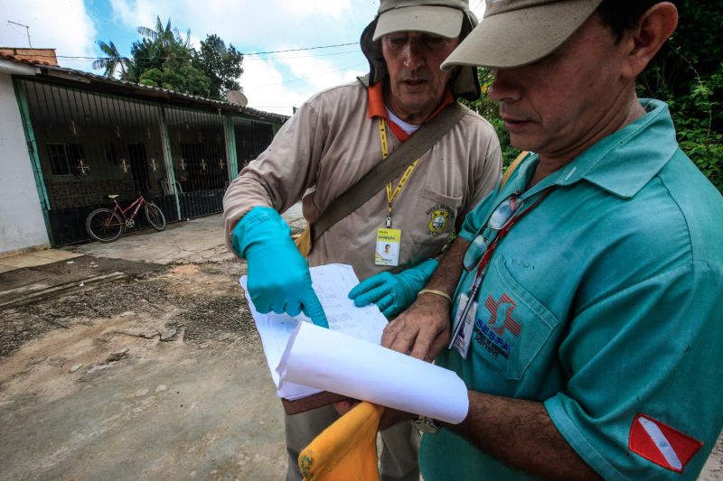 O mosquito Aedes aegypti é transmissor da dengue, zika e febre chikungunya, doenças que exigem atenção constante da saúde pública e da população brasileira. No início do ano, é preciso um cuidado ainda maior, pois o período – marcado por chuvas frequentes – é mais propício à proliferação do mosquito. <div class='credito_fotos'>Foto: JADER PAES / AG. PARÁ | <a href='/midias/2020/originais/5879_4229be62-e48c-4839-0a29-54becdc390f3.jpg' download><i class='fa-solid fa-download'></i> Download</a></div>