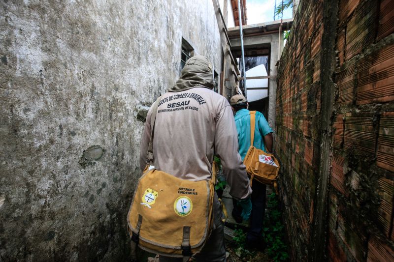O mosquito Aedes aegypti é transmissor da dengue, zika e febre chikungunya, doenças que exigem atenção constante da saúde pública e da população brasileira. No início do ano, é preciso um cuidado ainda maior, pois o período – marcado por chuvas frequentes – é mais propício à proliferação do mosquito. <div class='credito_fotos'>Foto: JADER PAES / AG. PARÁ | <a href='/midias/2020/originais/5879_48a6fe33-f156-f7e9-5b64-12d97009f10d.jpg' download><i class='fa-solid fa-download'></i> Download</a></div>