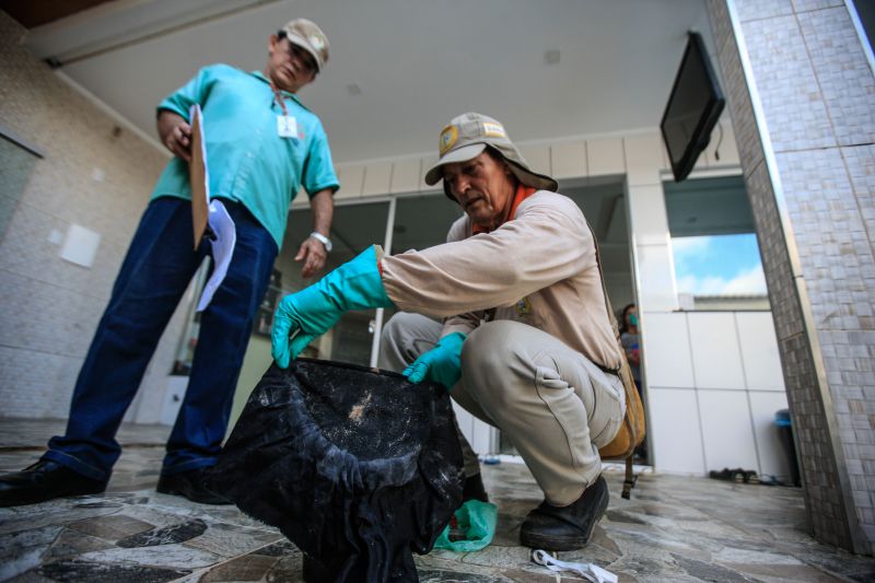O mosquito Aedes aegypti é transmissor da dengue, zika e febre chikungunya, doenças que exigem atenção constante da saúde pública e da população brasileira. No início do ano, é preciso um cuidado ainda maior, pois o período – marcado por chuvas frequentes – é mais propício à proliferação do mosquito. <div class='credito_fotos'>Foto: JADER PAES / AG. PARÁ | <a href='/midias/2020/originais/5879_4e2aa85e-5904-0beb-ae28-d5d1965dc5c8.jpg' download><i class='fa-solid fa-download'></i> Download</a></div>
