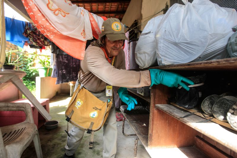 O mosquito Aedes aegypti é transmissor da dengue, zika e febre chikungunya, doenças que exigem atenção constante da saúde pública e da população brasileira. No início do ano, é preciso um cuidado ainda maior, pois o período – marcado por chuvas frequentes – é mais propício à proliferação do mosquito. <div class='credito_fotos'>Foto: JADER PAES / AG. PARÁ | <a href='/midias/2020/originais/5879_86fc42a4-1644-24c7-22a4-c7476b0e880f.jpg' download><i class='fa-solid fa-download'></i> Download</a></div>