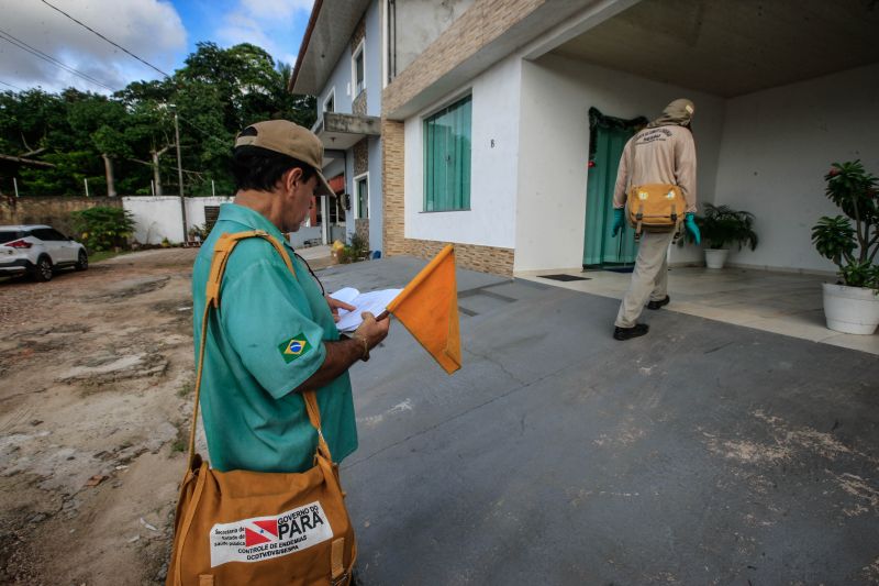 O mosquito Aedes aegypti é transmissor da dengue, zika e febre chikungunya, doenças que exigem atenção constante da saúde pública e da população brasileira. No início do ano, é preciso um cuidado ainda maior, pois o período – marcado por chuvas frequentes – é mais propício à proliferação do mosquito. <div class='credito_fotos'>Foto: JADER PAES / AG. PARÁ | <a href='/midias/2020/originais/5879_a0035429-9135-1cff-8a7c-02f2885edefd.jpg' download><i class='fa-solid fa-download'></i> Download</a></div>