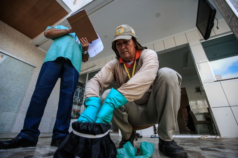 O mosquito Aedes aegypti é transmissor da dengue, zika e febre chikungunya, doenças que exigem atenção constante da saúde pública e da população brasileira. No início do ano, é preciso um cuidado ainda maior, pois o período – marcado por chuvas frequentes – é mais propício à proliferação do mosquito. <div class='credito_fotos'>Foto: JADER PAES / AG. PARÁ | <a href='/midias/2020/originais/5879_b3e5d308-6086-11f9-2487-521873d458ee.jpg' download><i class='fa-solid fa-download'></i> Download</a></div>