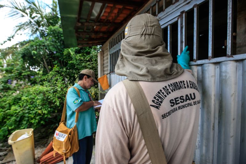 O mosquito Aedes aegypti é transmissor da dengue, zika e febre chikungunya, doenças que exigem atenção constante da saúde pública e da população brasileira. No início do ano, é preciso um cuidado ainda maior, pois o período – marcado por chuvas frequentes – é mais propício à proliferação do mosquito. <div class='credito_fotos'>Foto: JADER PAES / AG. PARÁ | <a href='/midias/2020/originais/5879_d36ea88b-4c1b-7c48-27fd-6dde2810aeea.jpg' download><i class='fa-solid fa-download'></i> Download</a></div>