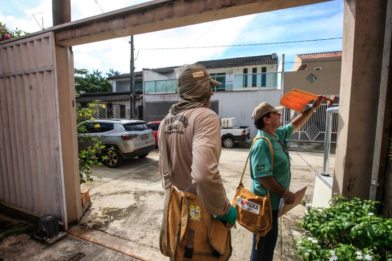 O mosquito Aedes aegypti é transmissor da dengue, zika e febre chikungunya, doenças que exigem atenção constante da saúde pública e da população brasileira. No início do ano, é preciso um cuidado ainda maior, pois o período – marcado por chuvas frequentes – é mais propício à proliferação do mosquito. <div class='credito_fotos'>Foto: JADER PAES / AG. PARÁ | <a href='/midias/2020/originais/5879_e3df1c7f-9cc1-d32d-9984-bbc0eb81054f.jpg' download><i class='fa-solid fa-download'></i> Download</a></div>