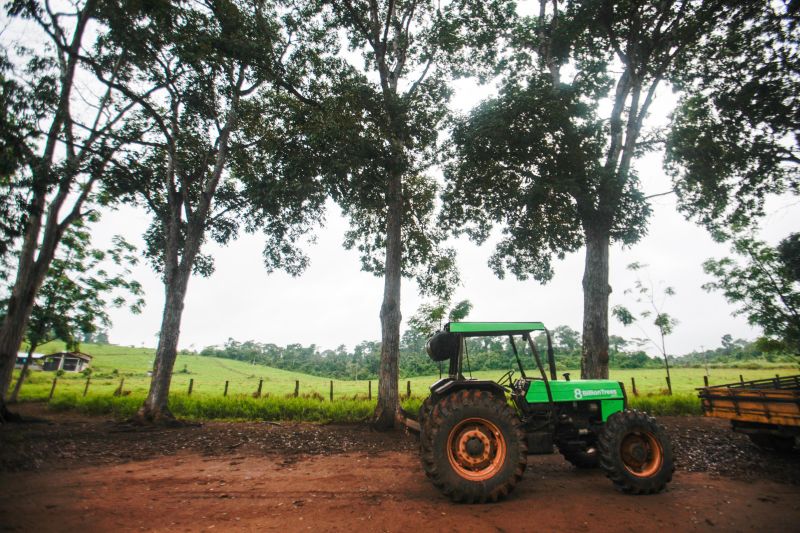 <div class='credito_fotos'>Foto: Pedro Guerreiro / Ag. Pará | <a href='/midias/2020/originais/5898_95f1d11f-7bf7-5d4b-860b-22c02c6d5510.jpg' download><i class='fa-solid fa-download'></i> Download</a></div>
