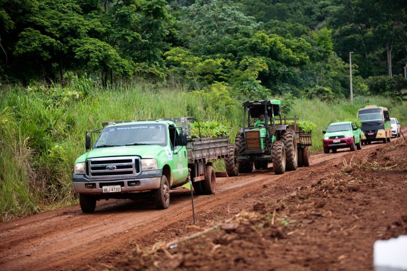 <div class='credito_fotos'>Foto: Pedro Guerreiro / Ag. Pará | <a href='/midias/2020/originais/5898_e7754100-dae9-a290-7598-bfb653f6452d.jpg' download><i class='fa-solid fa-download'></i> Download</a></div>