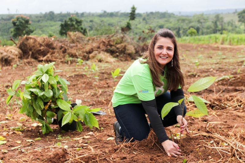 Karla Bengston <div class='credito_fotos'>Foto: Pedro Guerreiro / Ag. Pará | <a href='/midias/2020/originais/5898_f69038ab-9be8-3fd5-5b58-b4036ff9acb9.jpg' download><i class='fa-solid fa-download'></i> Download</a></div>