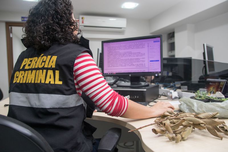 <div class='credito_fotos'>Foto: Pedro Guerreiro / Ag. Pará | <a href='/midias/2020/originais/5929_76d7e5eb-37ac-3eee-2521-62a5fa964711.jpg' download><i class='fa-solid fa-download'></i> Download</a></div>
