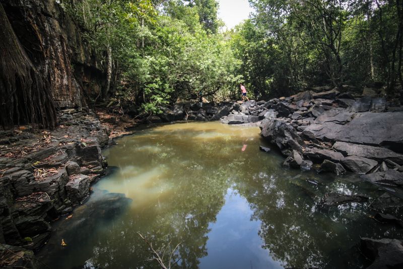 <div class='credito_fotos'>Foto: Alex Ribeiro / Ag. Pará | <a href='/midias/2020/originais/5977_4e4374af-27b2-bce5-26e5-4c5c32d810f7.jpg' download><i class='fa-solid fa-download'></i> Download</a></div>