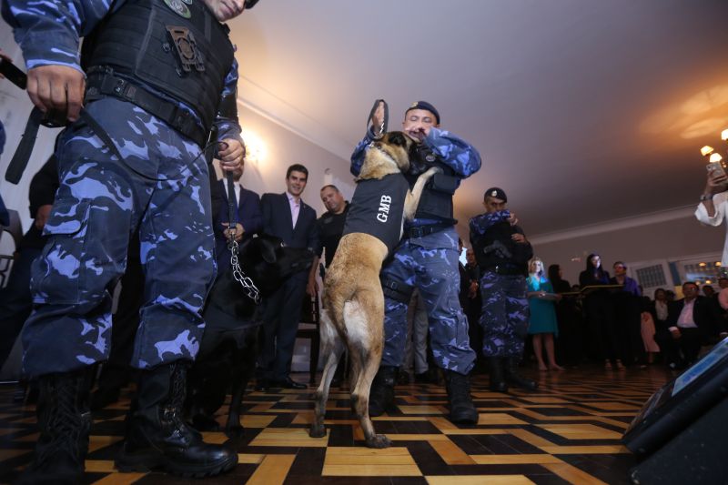 Policiais militares e civis foram agraciados, nesta terça-feira (18), com Moções Honrosas concedidas pelo governador Helder Barbalho pelas operações Impacto e Narcos II, ocorridas nos dias 9, 16, 17 de fevereiro, resultando nas maiores apreensões de entorpecentes já feitas pelas corporações - mais de 2 toneladas de cocaína e uma de maconha. A Guarda Municipal de Belém que atua no Distrito de Mosqueiro (pertencente a Belém), bem como as cadelas farejadoras que participaram das apreensões, também receberam homenagem. <div class='credito_fotos'>Foto: Jader Paes / Agência Pará | <a href='/midias/2020/originais/6004_4117e54a-5b24-88f3-e5fe-60da1dc3fa62.jpg' download><i class='fa-solid fa-download'></i> Download</a></div>