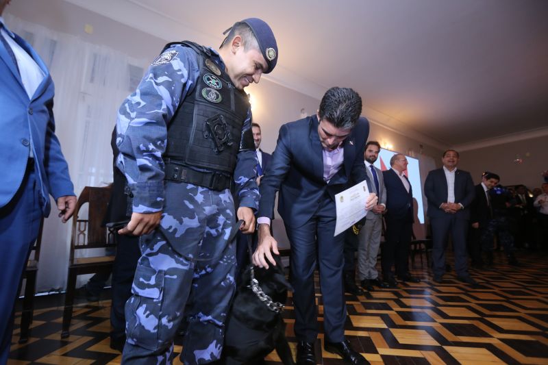 Policiais militares e civis foram agraciados, nesta terça-feira (18), com Moções Honrosas concedidas pelo governador Helder Barbalho pelas operações Impacto e Narcos II, ocorridas nos dias 9, 16, 17 de fevereiro, resultando nas maiores apreensões de entorpecentes já feitas pelas corporações - mais de 2 toneladas de cocaína e uma de maconha. A Guarda Municipal de Belém que atua no Distrito de Mosqueiro (pertencente a Belém), bem como as cadelas farejadoras que participaram das apreensões, também receberam homenagem. <div class='credito_fotos'>Foto: Jader Paes / Agência Pará | <a href='/midias/2020/originais/6004_b5751eac-ef63-036f-5406-8e3497e4b6ea.jpg' download><i class='fa-solid fa-download'></i> Download</a></div>